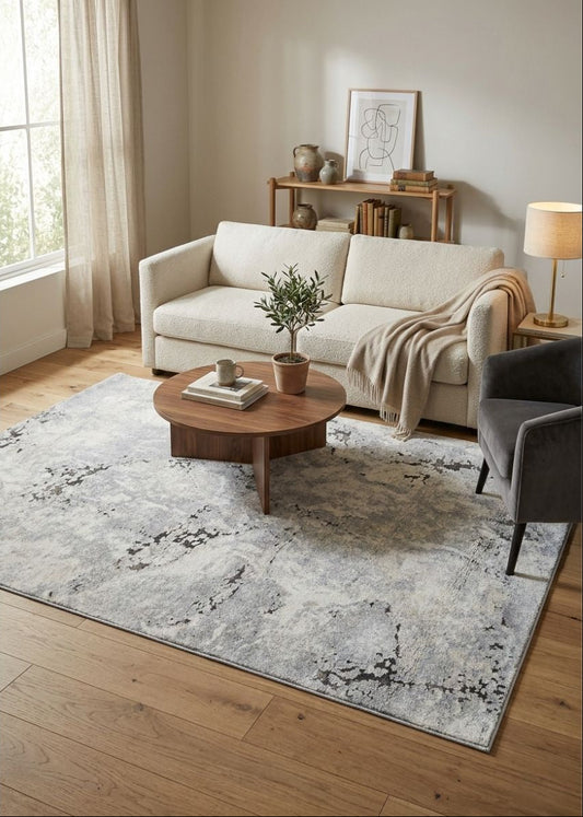 Evara Modern Grey Rug