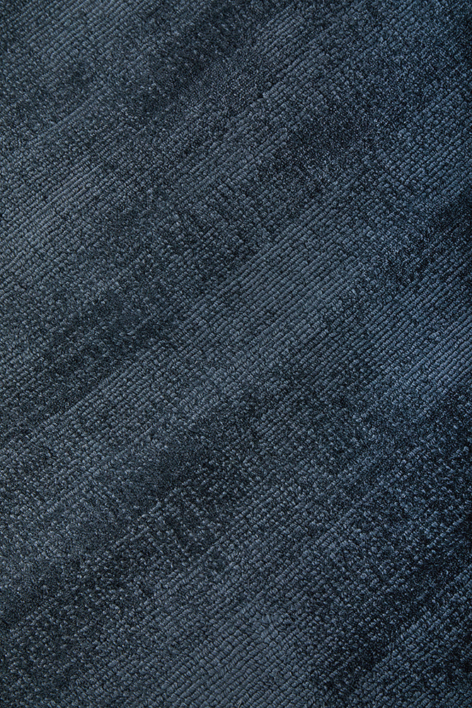 Elvane Navy Viscose Rug
