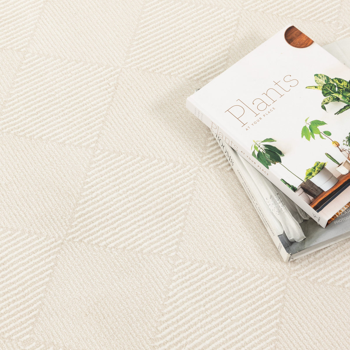 Adore Modern Ivory Rug