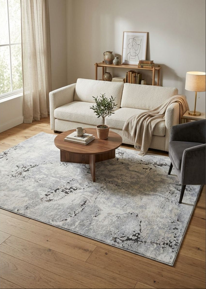 Evara Modern Grey Rug