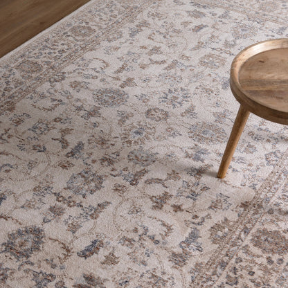 Daro Brown Transitional Rug
