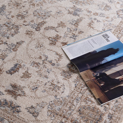 Daro Brown Transitional Rug