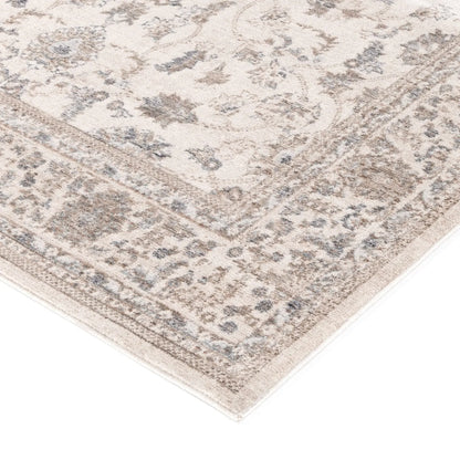 Daro Brown Transitional Rug