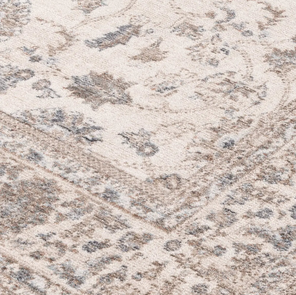 Daro Brown Transitional Rug