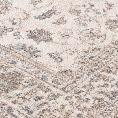 Daro Brown Transitional Rug