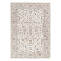 Daro Brown Transitional Rug