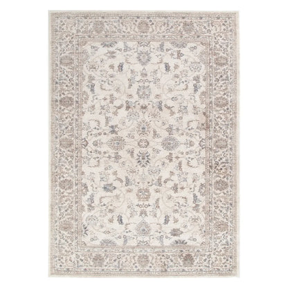 Daro Brown Transitional Rug