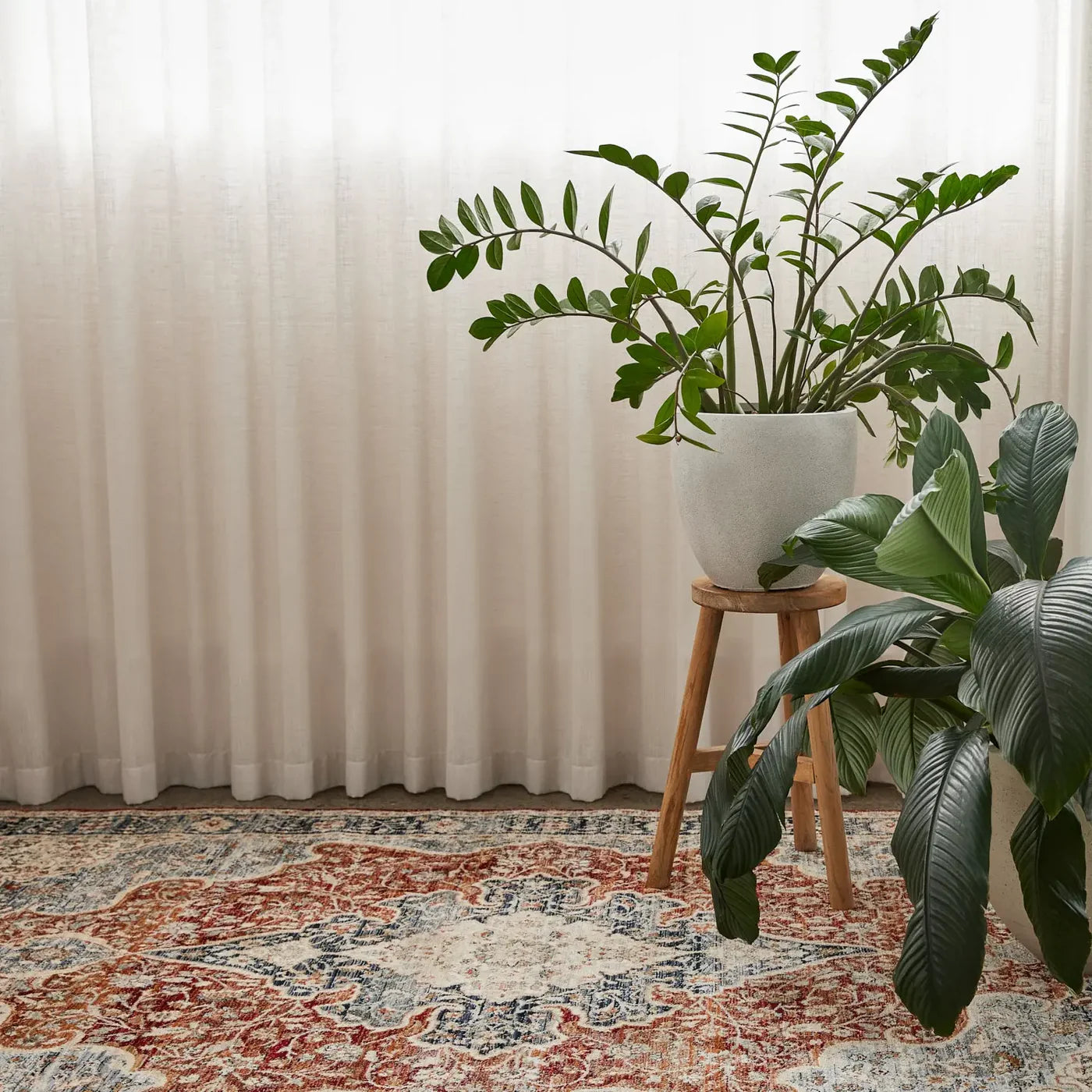Berren Brown Traditional Rug