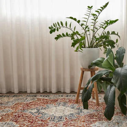 Berren Brown Traditional Rug