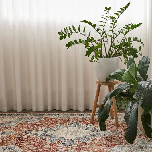 Berren Brown Traditional Rug