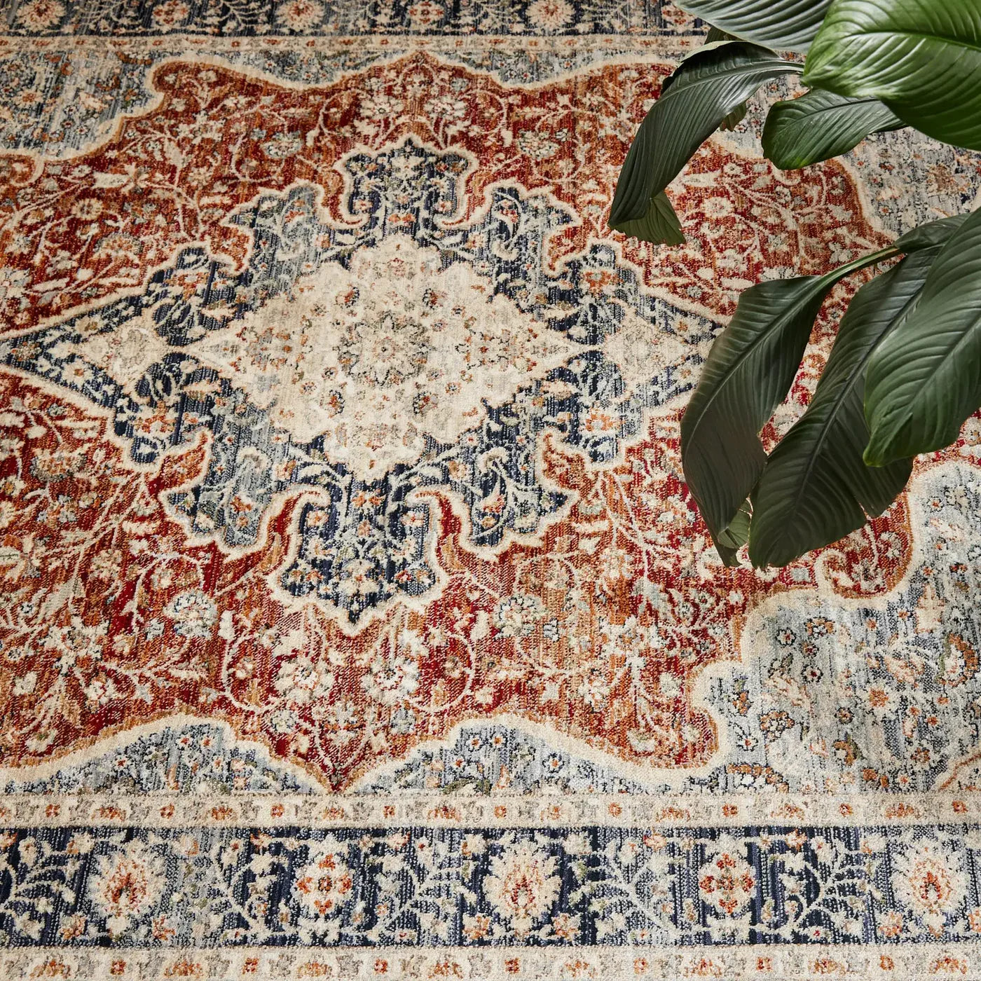 Berren Brown Traditional Rug