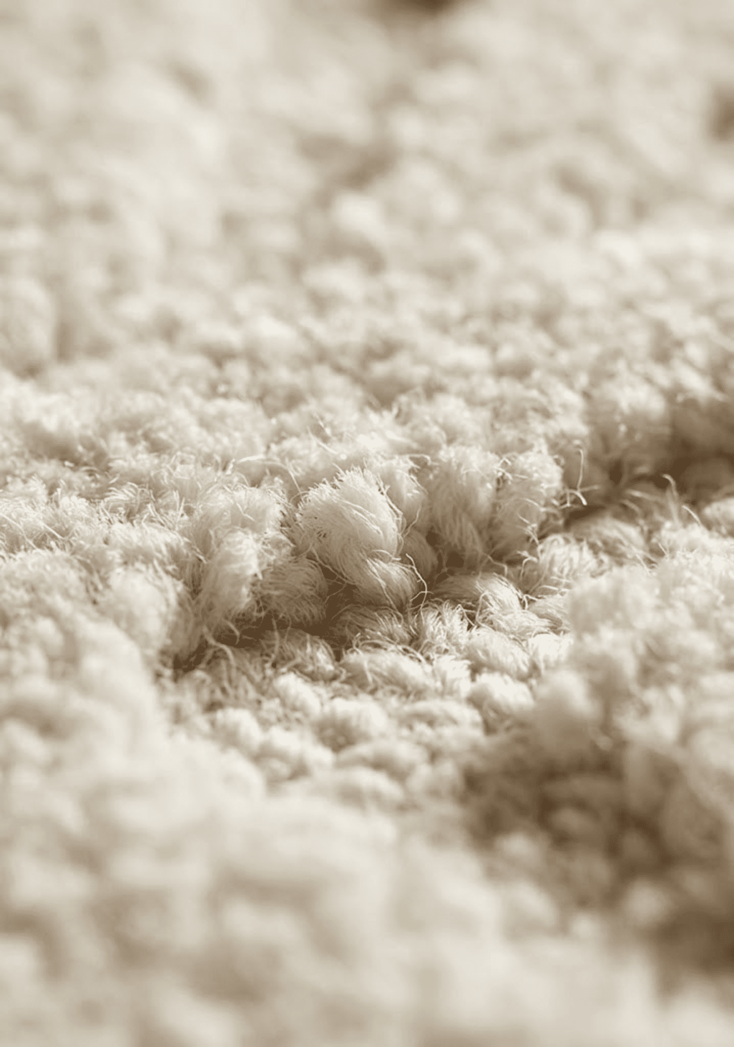 Zura Ivory Wool Rug